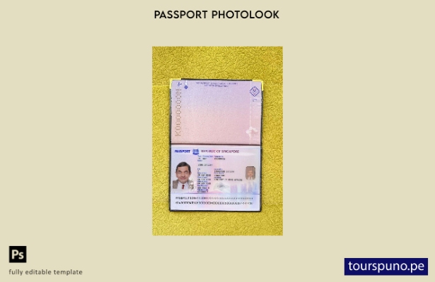 listo para imprimir plantilla de aspecto fotográfico del nuevo pasaporte (+) de 